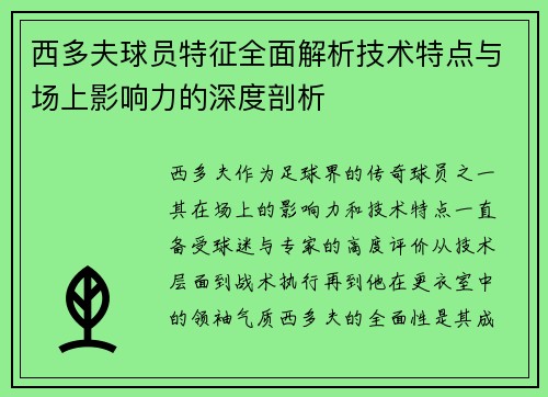 西多夫球员特征全面解析技术特点与场上影响力的深度剖析