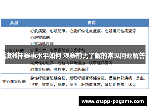 澳洲杯赛事水平如何 观赛前需了解的常见问题解答