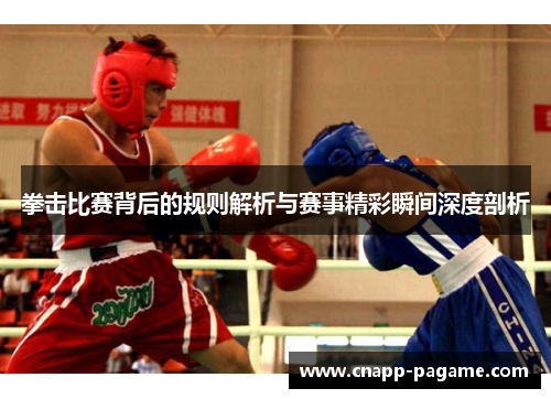 拳击比赛背后的规则解析与赛事精彩瞬间深度剖析