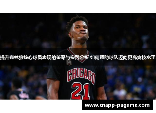 提升森林狼核心球员表现的策略与实践分析 如何帮助球队迈向更高竞技水平