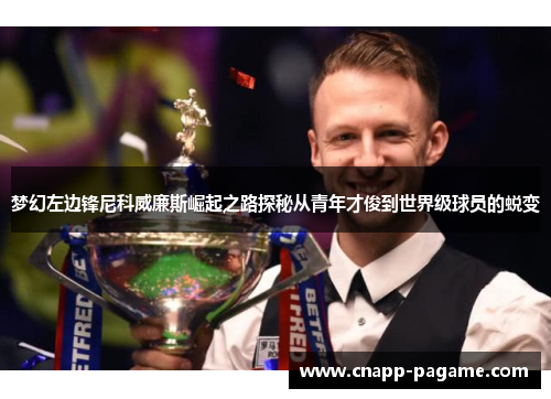 梦幻左边锋尼科威廉斯崛起之路探秘从青年才俊到世界级球员的蜕变