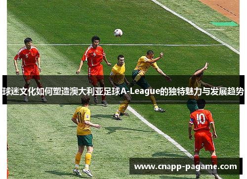 球迷文化如何塑造澳大利亚足球A-League的独特魅力与发展趋势