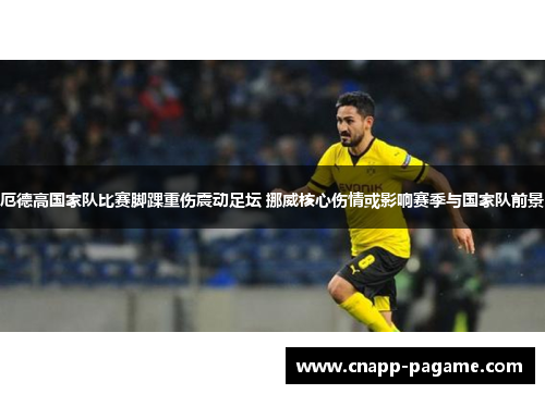 厄德高国家队比赛脚踝重伤震动足坛 挪威核心伤情或影响赛季与国家队前景